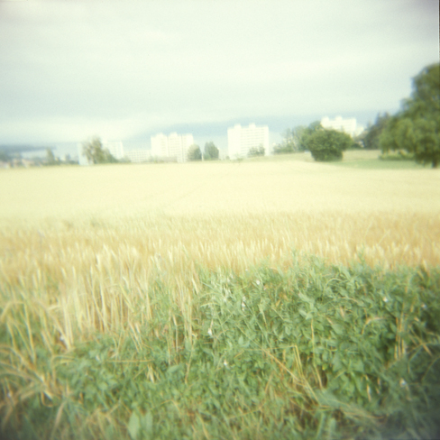 petites maisons dans la prairie