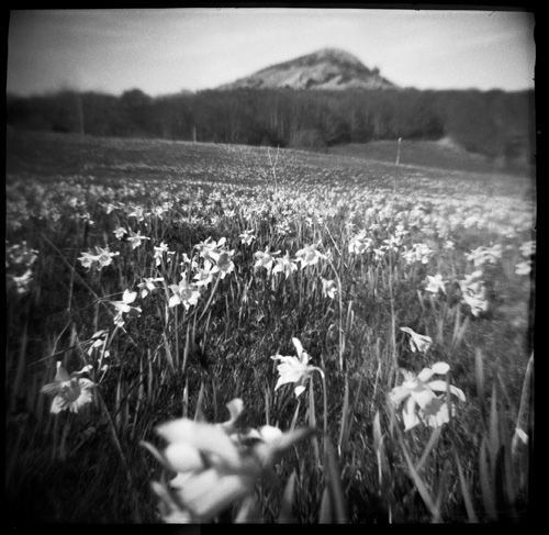 C'est le printemps !