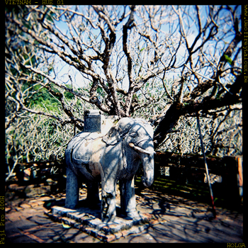 Holga - Vietnam 02