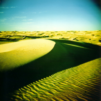 dune jaune