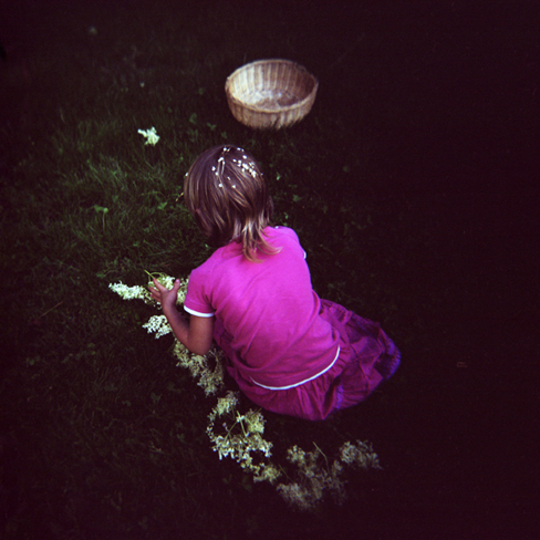 fille des fleurs