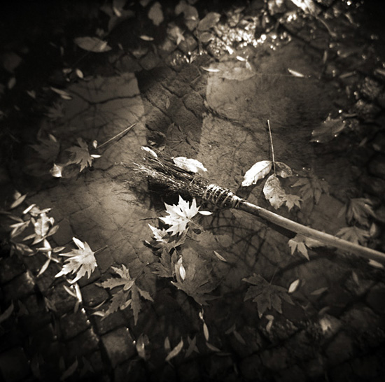 Les dernires feuilles