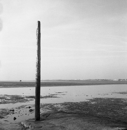 La Rochelle au piquet