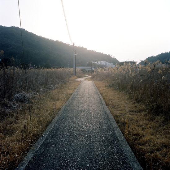 Roads To Naoshima