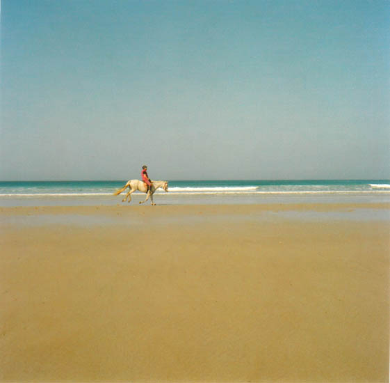 West Coast on White Horse