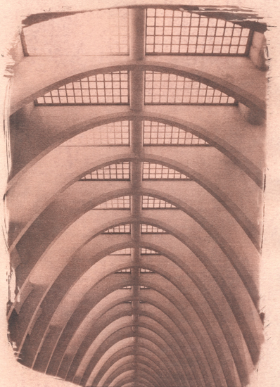 Cyanotype - Gare Calatrava Lige