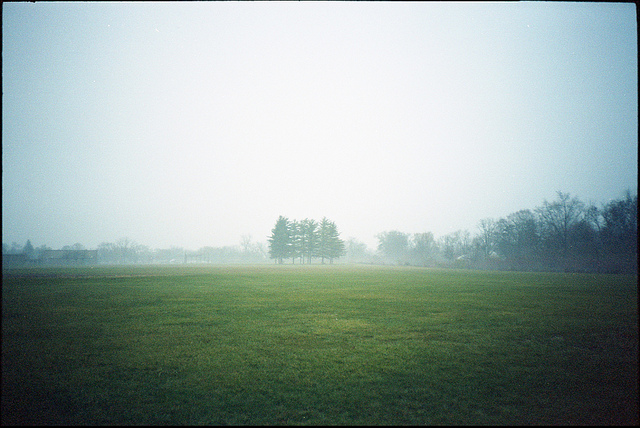 rebelotte XA et Portra160