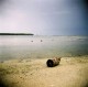Holga + Fuji Reala 100