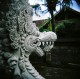 Holga + Fuji Reala 100