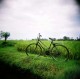 Holga + Fuji Reala 100