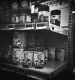 Holga+Trix