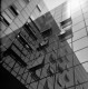 Holga & Tri-X 320