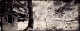 Ambrotype 10x4
