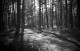 Nature morte

http://opb-photography.com