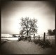 Holga 120 
Rollei RPX 100